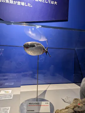 特別展「大絶滅展―生命史のビッグファイブ」に投稿された画像（2026/1/27）