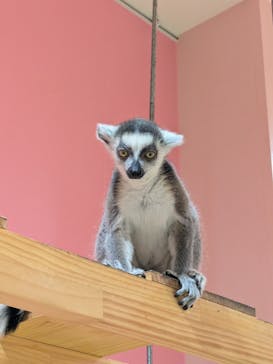 アニタッチアクアシティお台場に投稿された画像（2026/1/27）