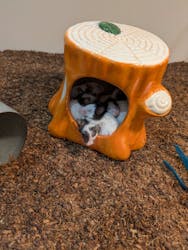 アニタッチアクアシティお台場に投稿された画像（2026/1/27）