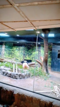 恩賜上野動物園に投稿された画像（2026/1/27）