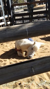 恩賜上野動物園に投稿された画像（2026/1/27）