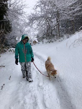 一般社団法人ヘルスケアデザイン秋田に投稿された画像（2026/1/27）