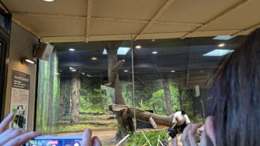 恩賜上野動物園に投稿された画像（2026/1/28）