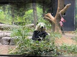 恩賜上野動物園に投稿された画像（2026/1/28）