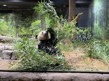 恩賜上野動物園に投稿された画像（2026/1/28）