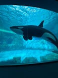 名古屋港水族館に投稿された画像（2026/1/28）