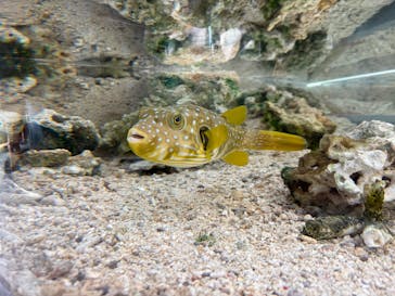 名古屋港水族館に投稿された画像（2026/1/28）