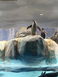 名古屋港水族館に投稿された画像（2026/1/28）