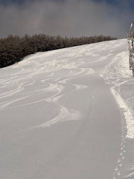 湯の丸スキー場に投稿された画像（2026/1/28）