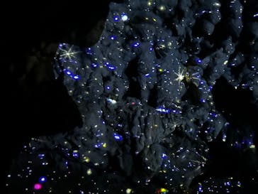 CAVE OKINAWAに投稿された画像（2026/1/28）