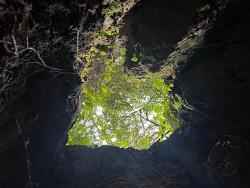 CAVE OKINAWAに投稿された画像（2026/1/28）