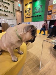 いぬカフェRio廿日市店に投稿された画像（2026/1/28）