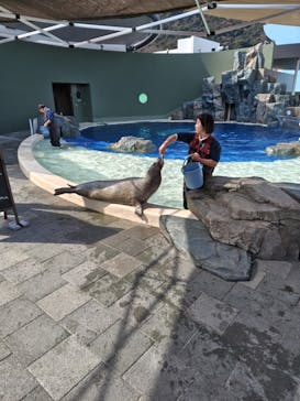 大分マリーンパレス水族館 「うみたまご」に投稿された画像（2026/1/28）