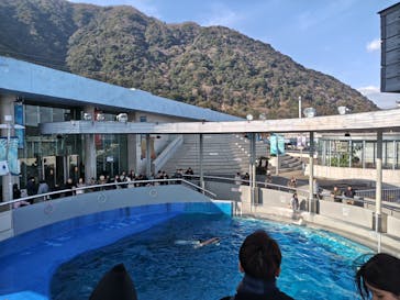 大分マリーンパレス水族館 「うみたまご」に投稿された画像（2026/1/28）