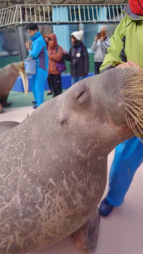 ゼロ距離水族館 伊勢シーパラダイスに投稿された画像（2026/1/28）