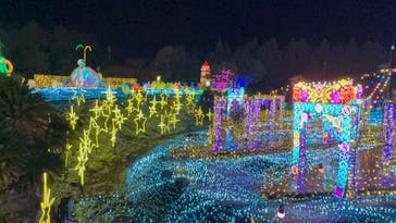 伊豆高原グランイルミに投稿された画像（2026/1/28）