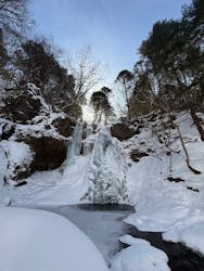Nikko Jumbo（日光ジャンボ）に投稿された画像（2026/1/28）
