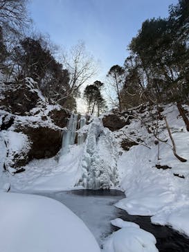 Nikko Jumbo（日光ジャンボ）に投稿された画像（2026/1/28）