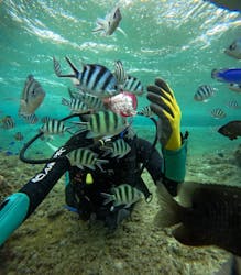 武藤潜水に投稿された画像（2026/1/28）