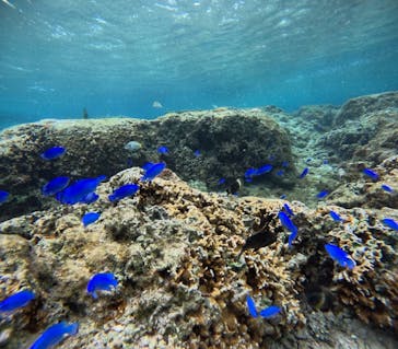 武藤潜水に投稿された画像（2026/1/28）