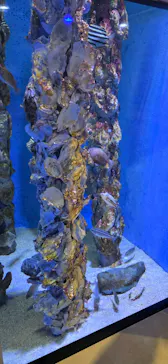 竹島水族館に投稿された画像（2026/1/28）