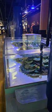 竹島水族館に投稿された画像（2026/1/28）