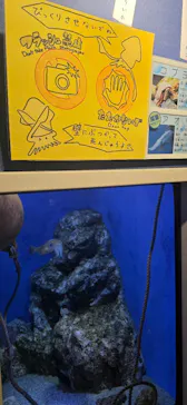 竹島水族館に投稿された画像（2026/1/28）