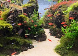 すみだ水族館に投稿された画像（2026/1/28）