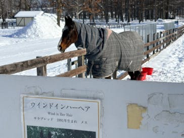 ノーザンホースパークに投稿された画像（2026/1/28）