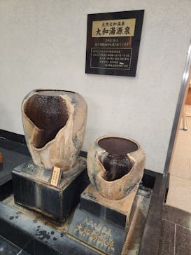 天然大和温泉 奈良健康ランド 奈良プラザホテルに投稿された画像（2026/1/28）