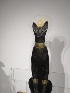 IMMERSIVE JOURNEY 名古屋に投稿された画像（2026/1/28）