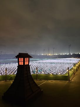 東京メガイルミに投稿された画像（2026/1/28）