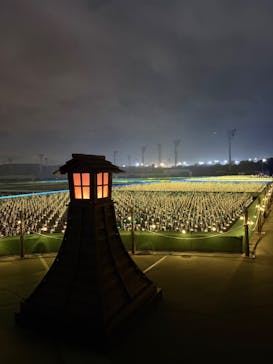 東京メガイルミに投稿された画像（2026/1/28）