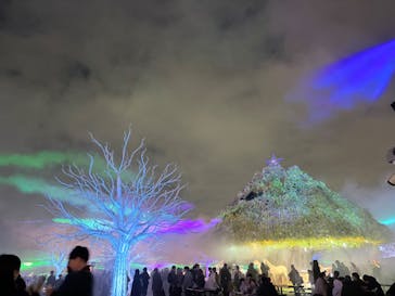 東京メガイルミに投稿された画像（2026/1/28）