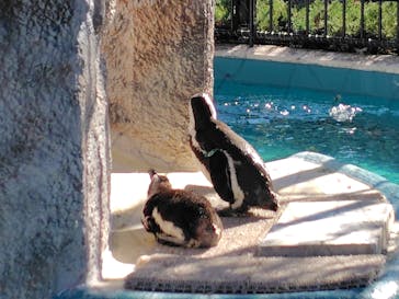 恩賜上野動物園に投稿された画像（2026/1/28）