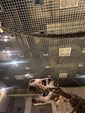 国立科学博物館に投稿された画像（2026/1/28）