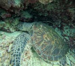  マリンショップHAPPYに投稿された画像（2026/1/28）