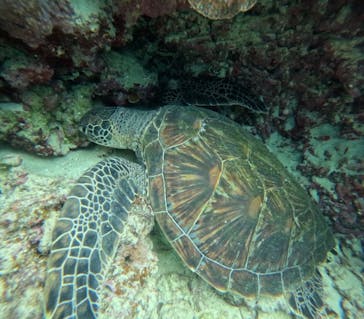  マリンショップHAPPYに投稿された画像（2026/1/28）