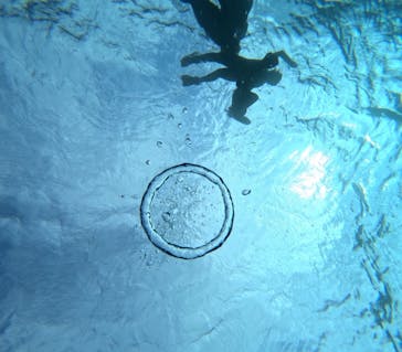  マリンショップHAPPYに投稿された画像（2026/1/28）