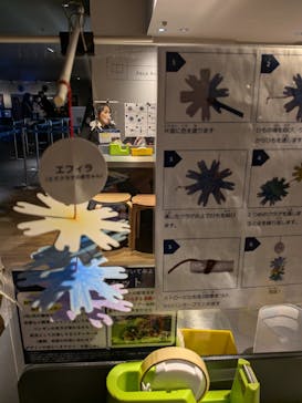 すみだ水族館に投稿された画像（2026/1/28）