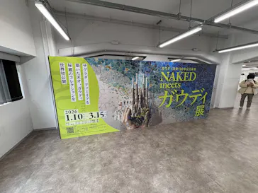 NAKED meets ガウディ展に投稿された画像（2026/1/28）