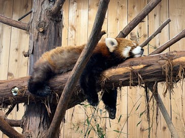 伊豆シャボテン動物公園に投稿された画像（2026/1/28）