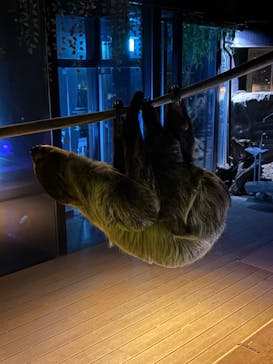 カワスイ 川崎⽔族館に投稿された画像（2026/1/28）