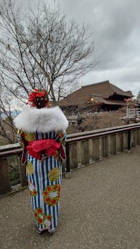 京都着物レンタル mimosa 高台寺店に投稿された画像（2026/1/28）
