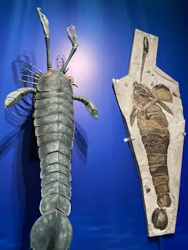 特別展「大絶滅展―生命史のビッグファイブ」に投稿された画像（2026/1/28）