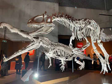 特別展「大絶滅展―生命史のビッグファイブ」に投稿された画像（2026/1/28）