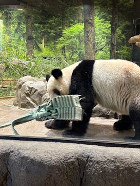 恩賜上野動物園に投稿された画像（2026/1/28）
