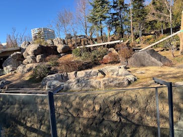 恩賜上野動物園に投稿された画像（2026/1/28）