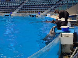 マクセル アクアパーク品川に投稿された画像（2026/1/28）