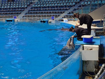 マクセル アクアパーク品川に投稿された画像（2026/1/28）